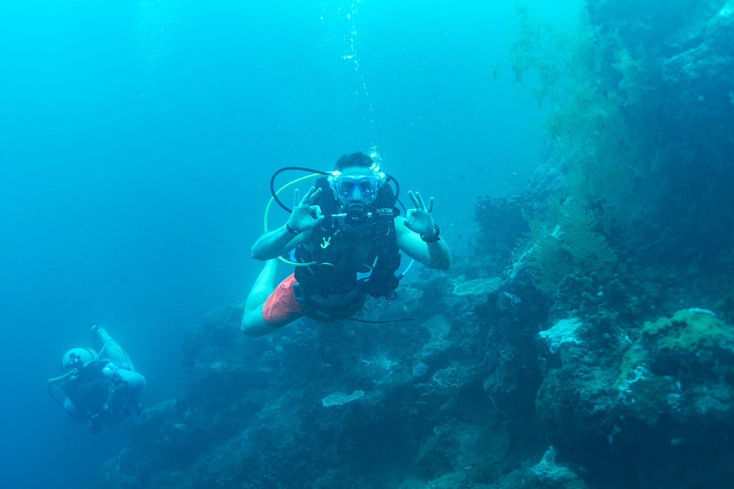 Madagascar: the treasure of the Indian Ocean