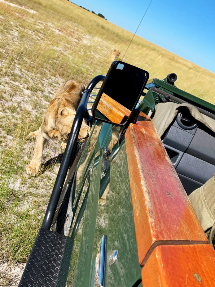 Zambia Travel Story Ana