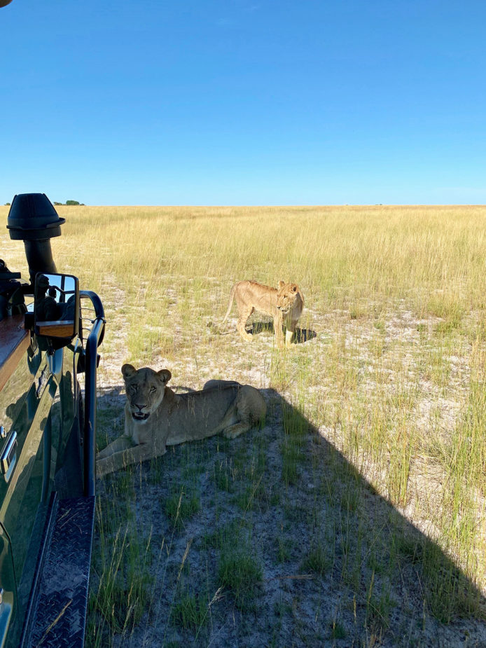 Zambia Travel Story Ana