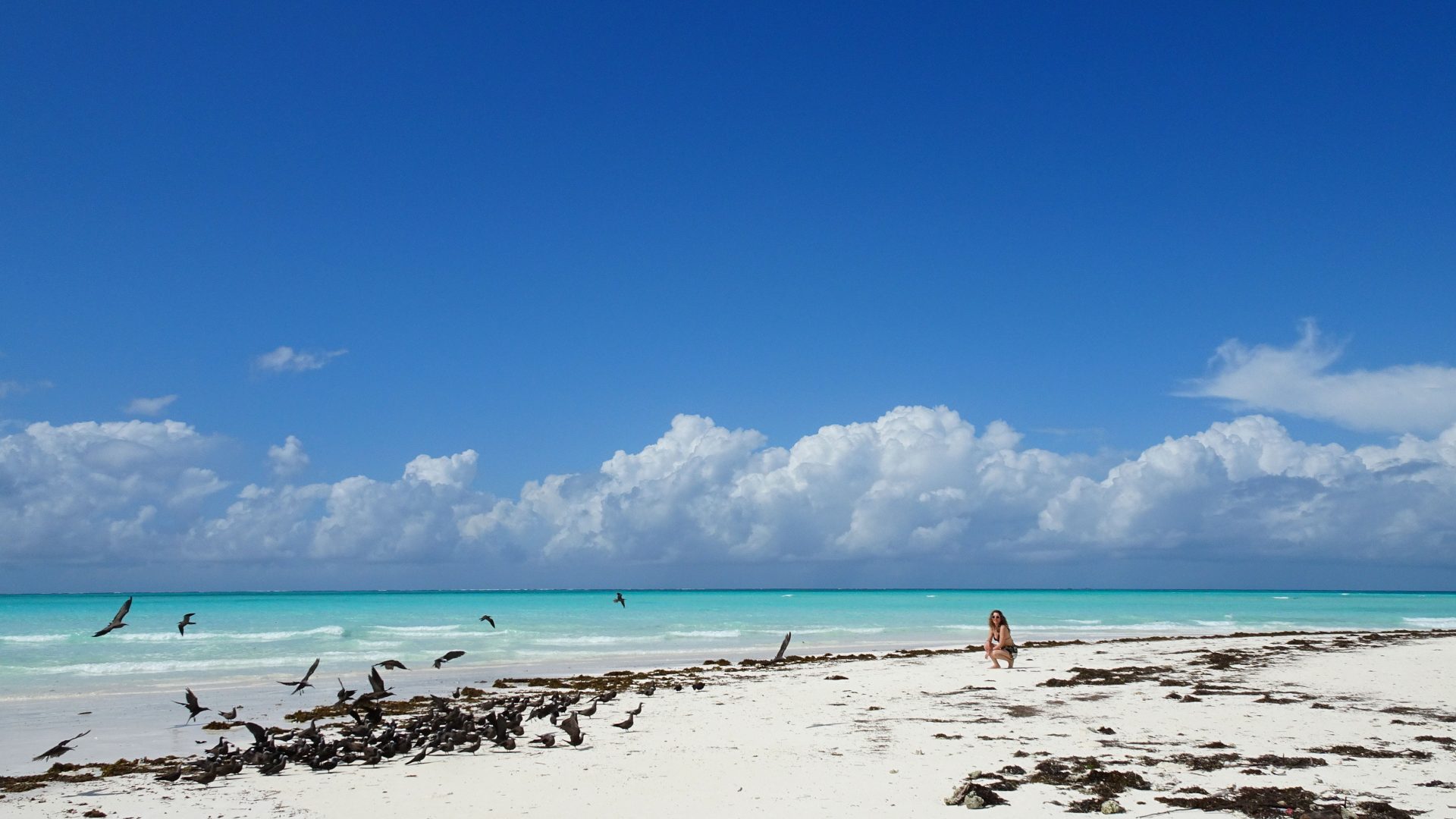 Las llanuras del Serengeti & Mnemba Private Island