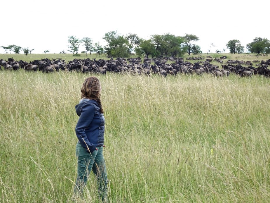 Las llanuras del Serengeti & Mnemba Private Island