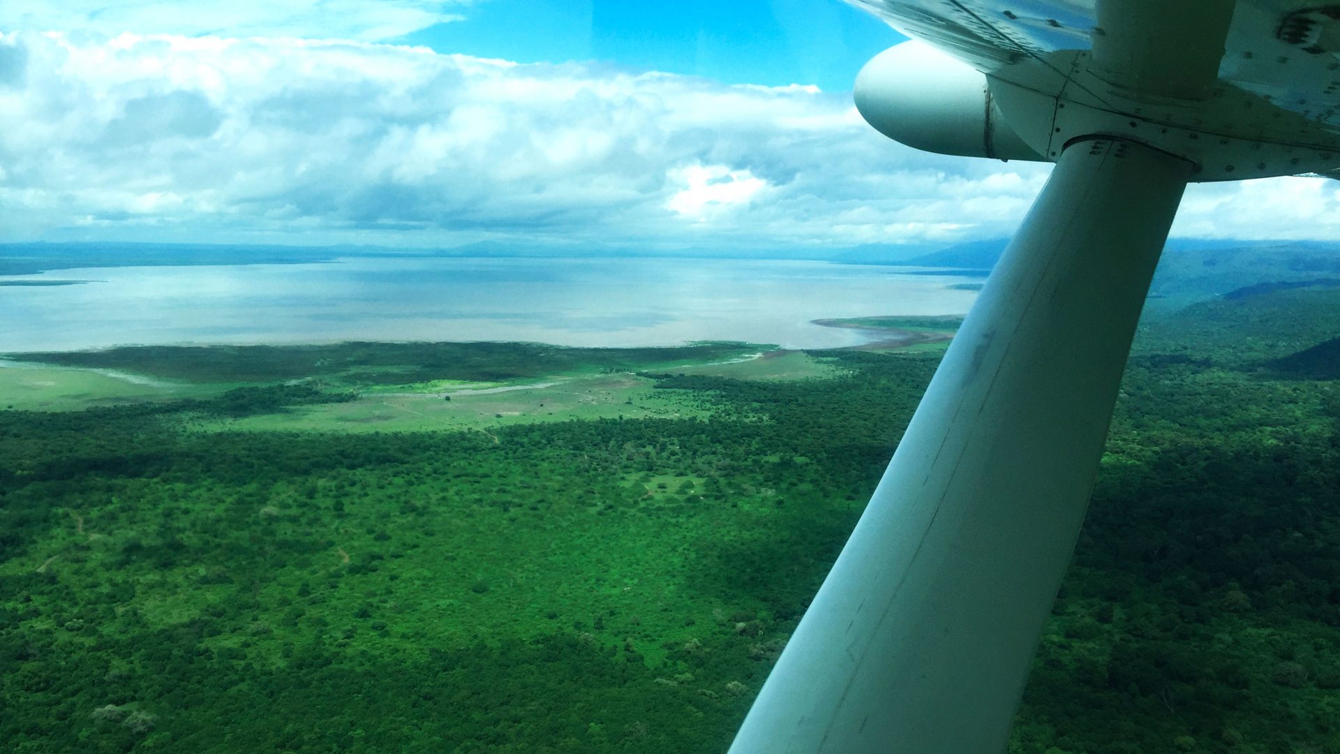 Las llanuras del Serengeti & Mnemba Private Island