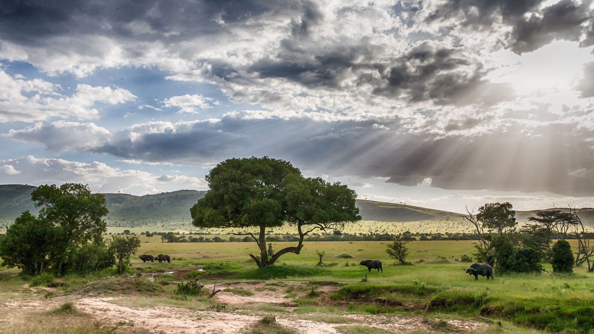 andBeyond Serengeti Under Canvas