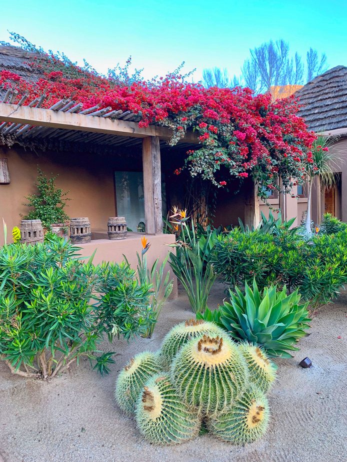 Hunting eclipses Vol. 2