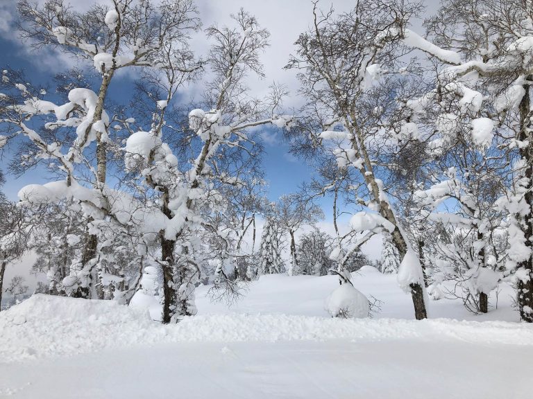 Japan: Ski for everyone