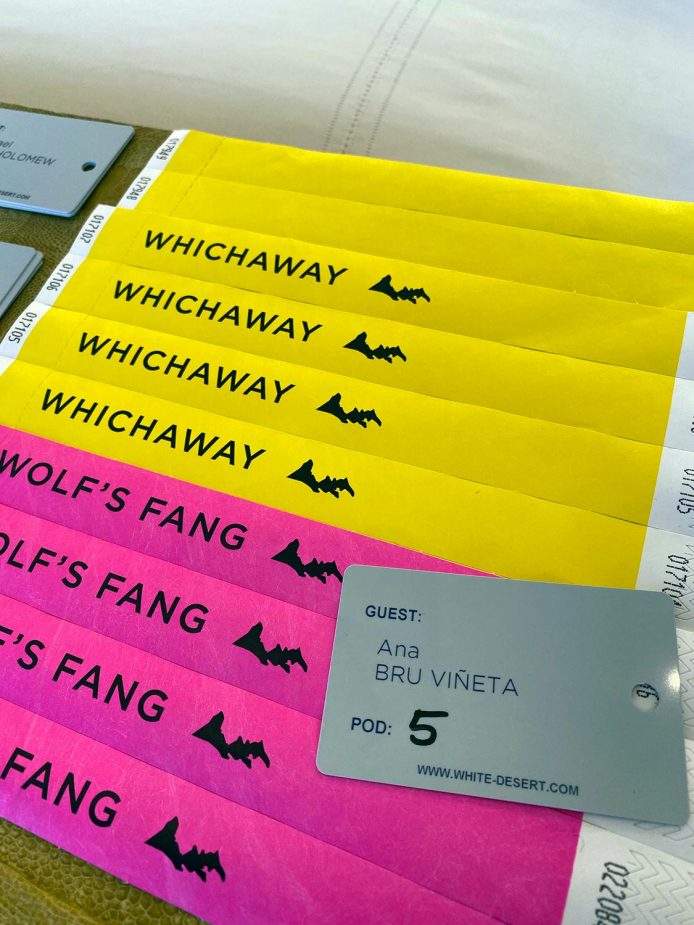 Antártida y Polo Sur: una experiencia de otro planeta