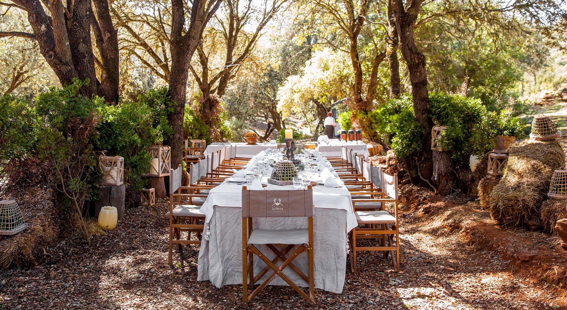 Bru & Bru, Agencia de viajes exclusivos: La Nava del Barranco. Safari en Ciudad Real, Centro de España