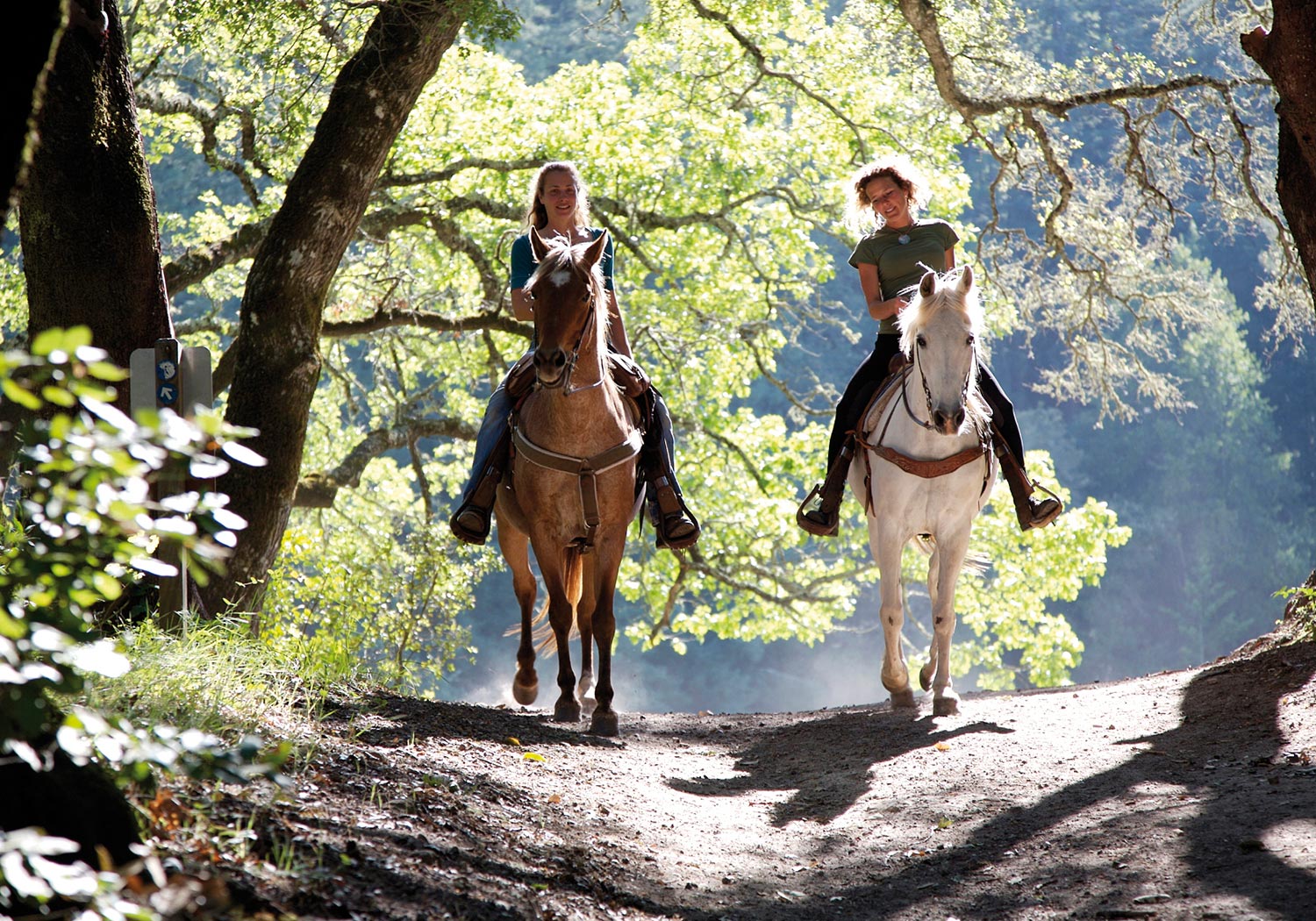Bru & Bru, Agencia de viajes exclusivos: La Nava del Barranco. Safari en Ciudad Real, Centro de España