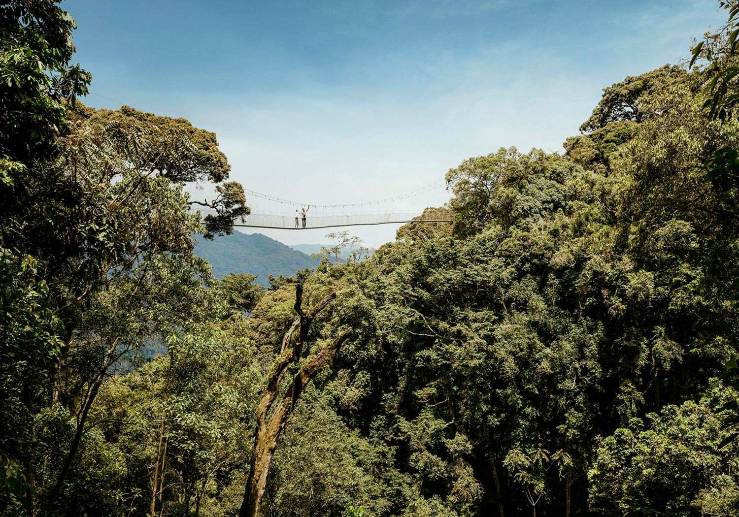 Bru & Bru agencia de viajes exclusivos - Hotel One & Only Nyungwe House, Ruanda