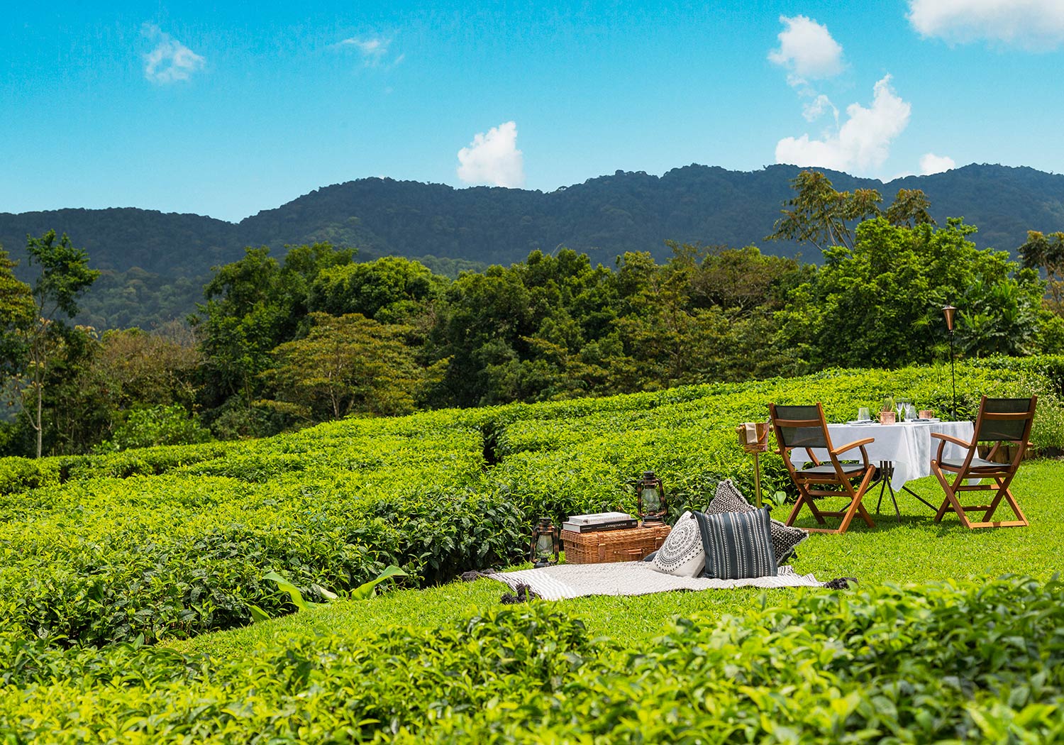 Bru & Bru agencia de viajes exclusivos - Hotel One & Only Nyungwe House, Ruanda