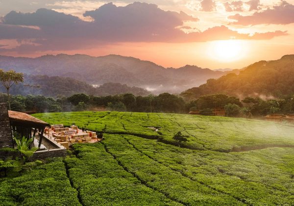 Bru & Bru agencia de viajes exclusivos - Hotel One & Only Nyungwe House, Ruanda