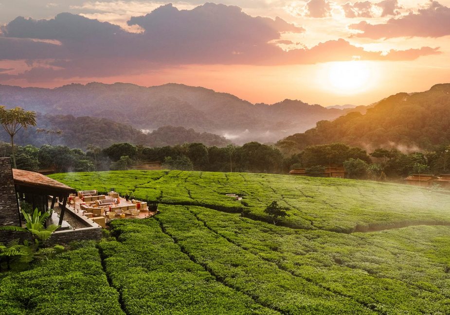 Bru & Bru agencia de viajes exclusivos - Hotel One & Only Nyungwe House, Ruanda