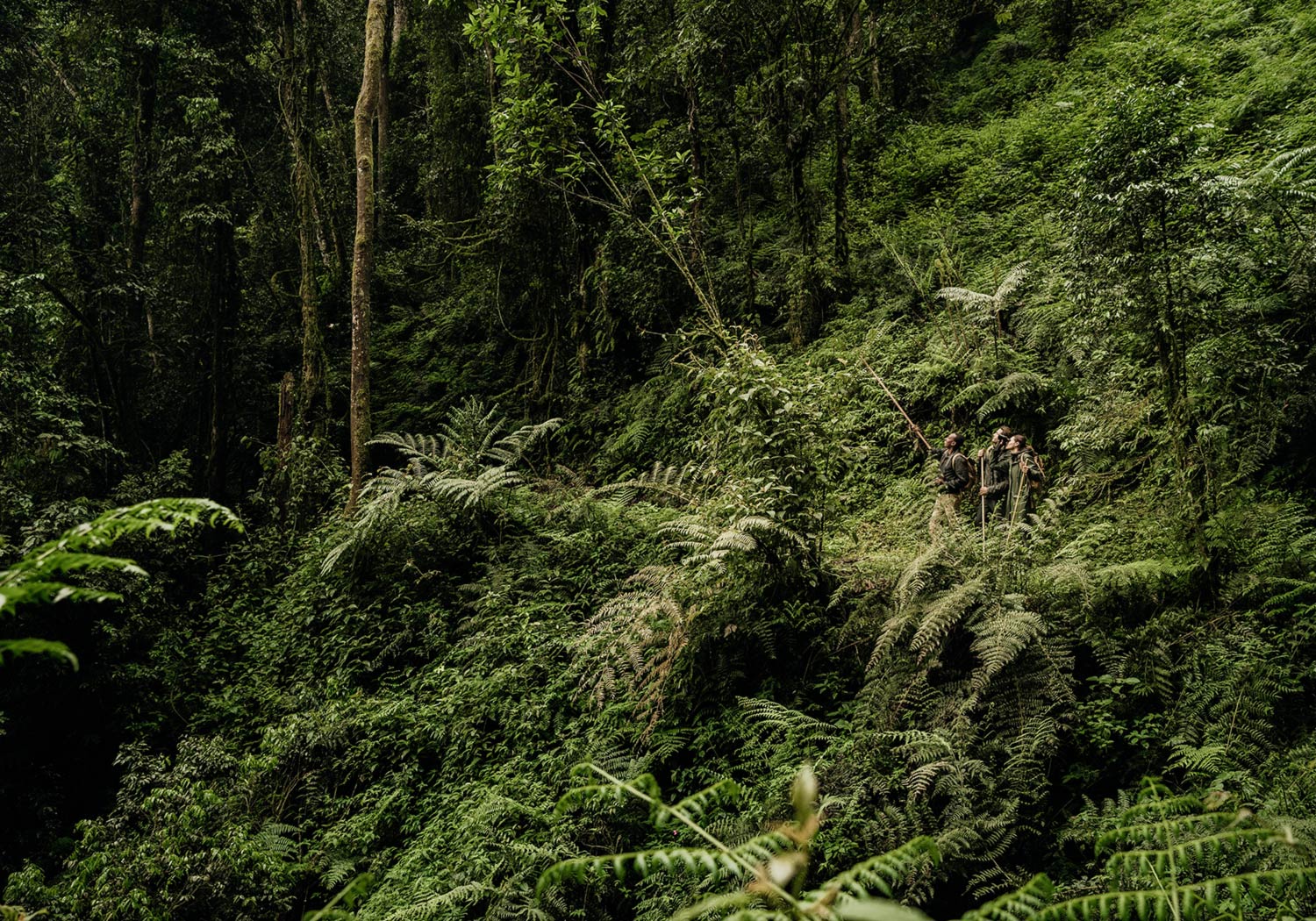 Bru & Bru agencia de viajes exclusivos - Hotel One & Only Nyungwe House, Ruanda