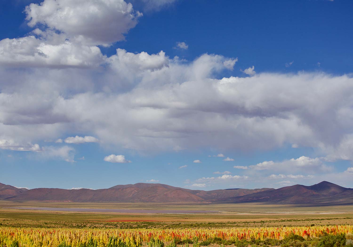 BRU & BRU - Exclusive Travel Designer - Chile-Bolivia - Travesia Explora Uyuni