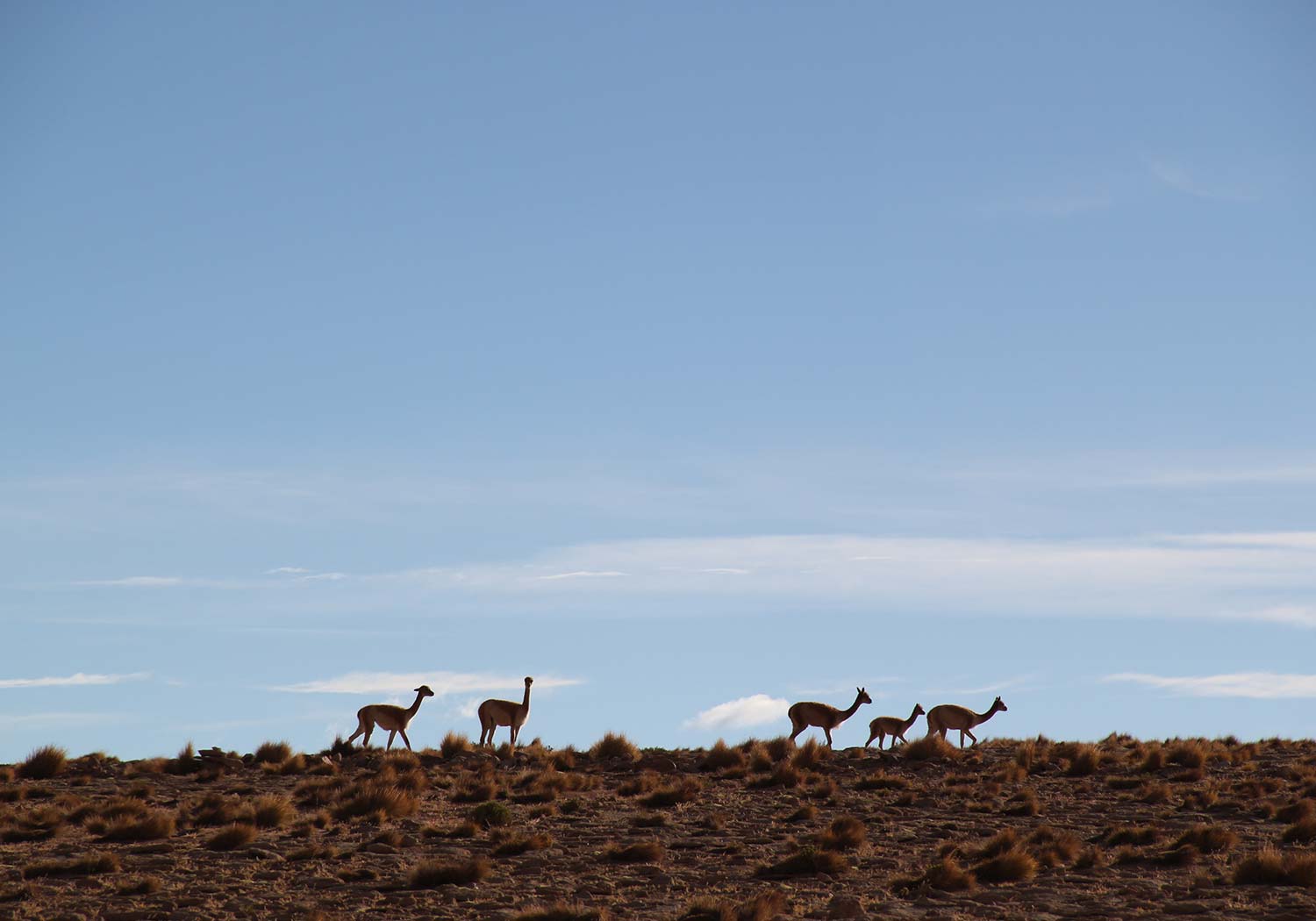 BRU & BRU - Exclusive Travel Designer - Chile-Bolivia - Travesia Explora Uyuni