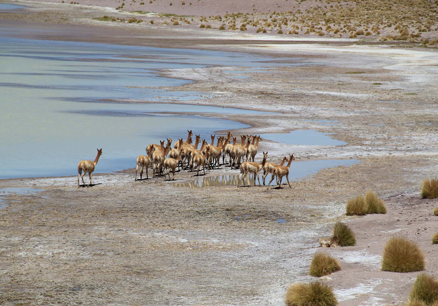 BRU & BRU - Exclusive Travel Designer - Chile-Bolivia - Travesia Explora Uyuni