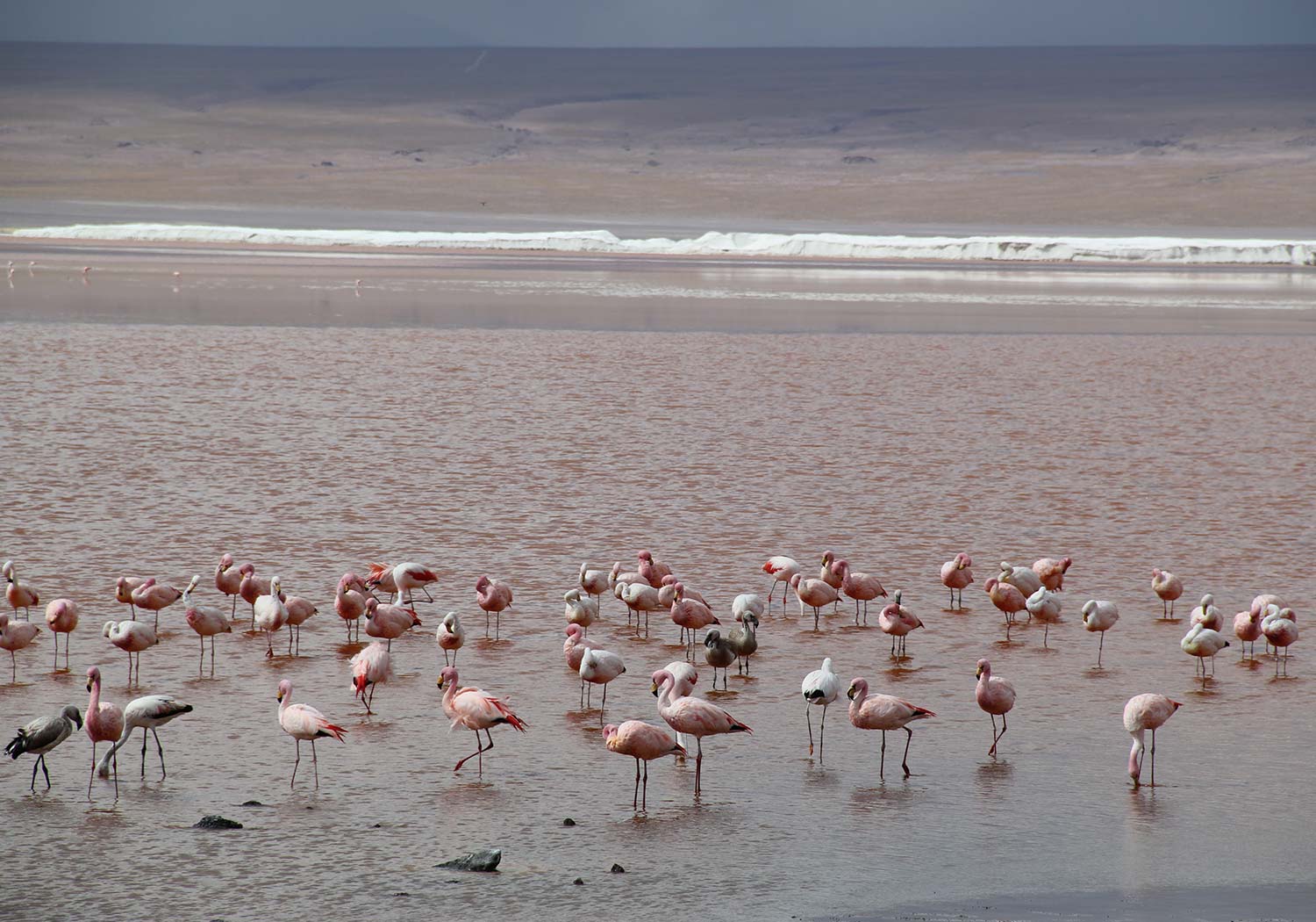 BRU & BRU - Exclusive Travel Designer - Chile-Bolivia - Travesia Explora Uyuni