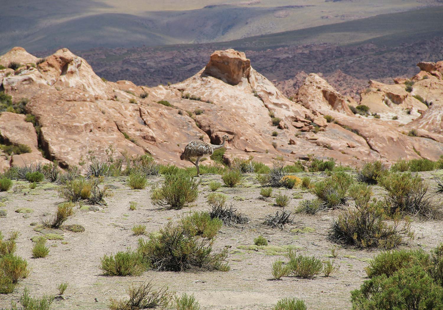 BRU & BRU - Exclusive Travel Designer - Chile-Bolivia - Travesia Explora Uyuni