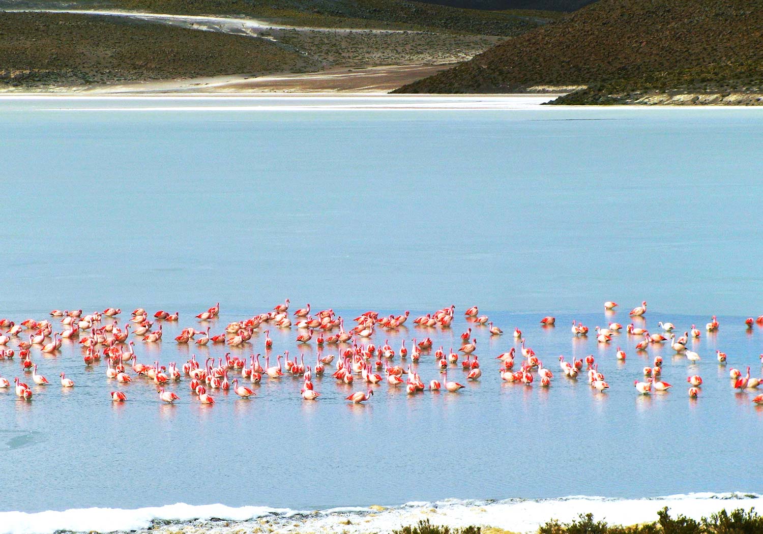 BRU & BRU - Exclusive Travel Designer - Chile-Bolivia - Travesia Explora Uyuni