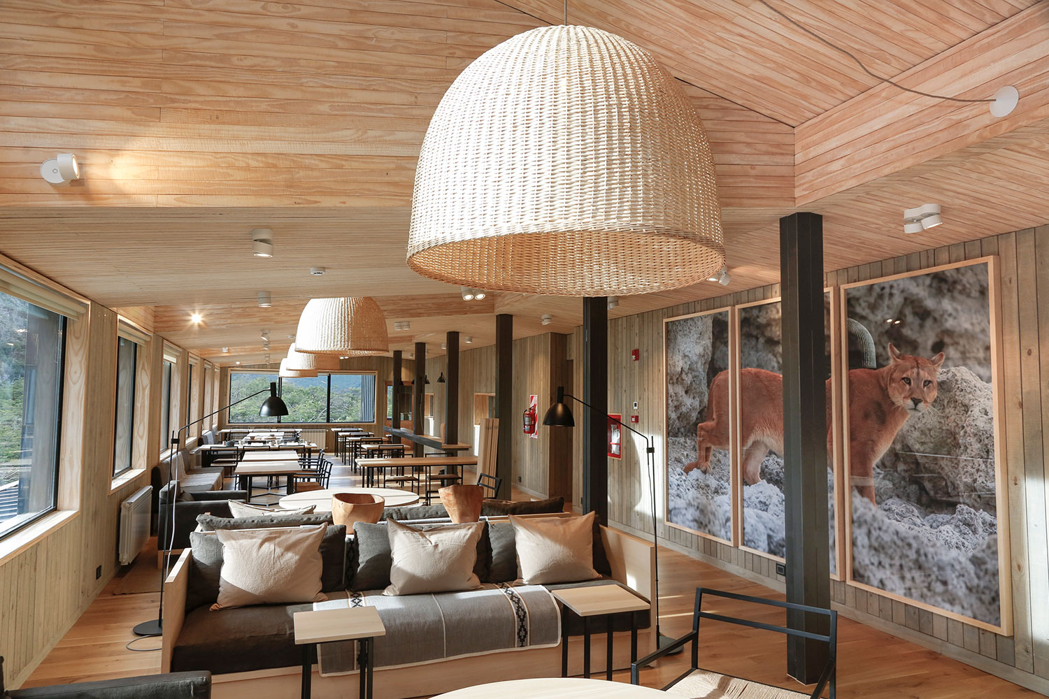 Explora El Chaltén, Patagonia Argentina