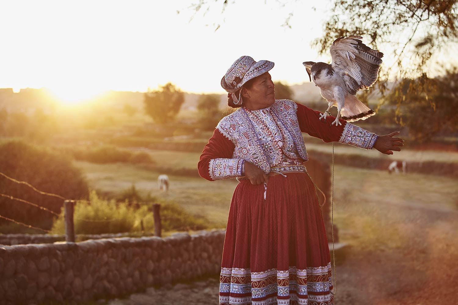 Bru & Bru agencia de viajes exclusivos - Belmond Andean Explorer, Perú