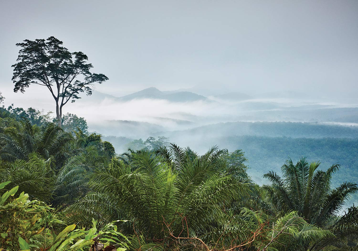 Bru & Bru agencia de viajes exclusivos - Belmond, tren eastern & oriental express, Tailandia y Singapur