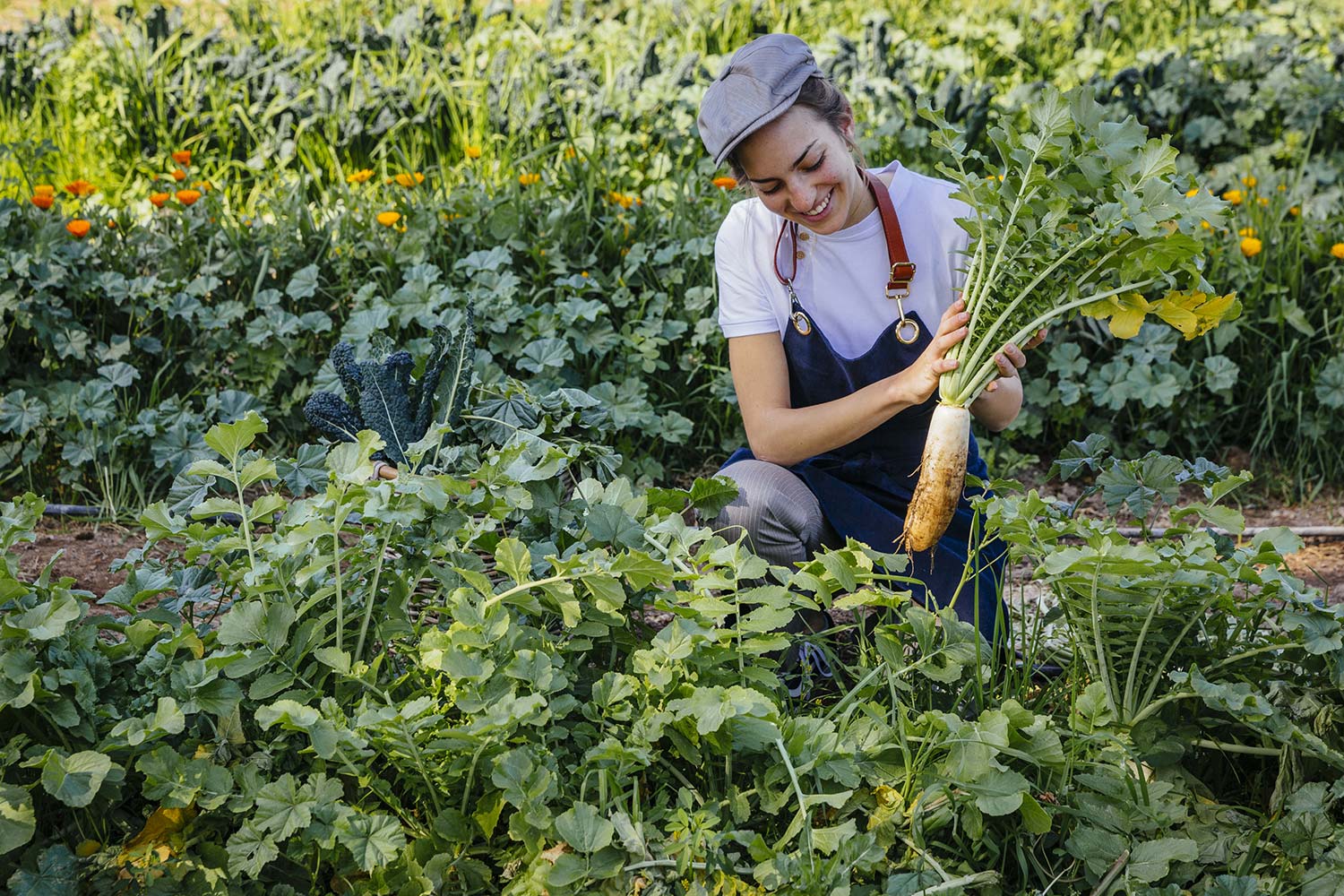 Bru & Bru agencia de viajes exclusivos - Six Senses Shaharut en Israel