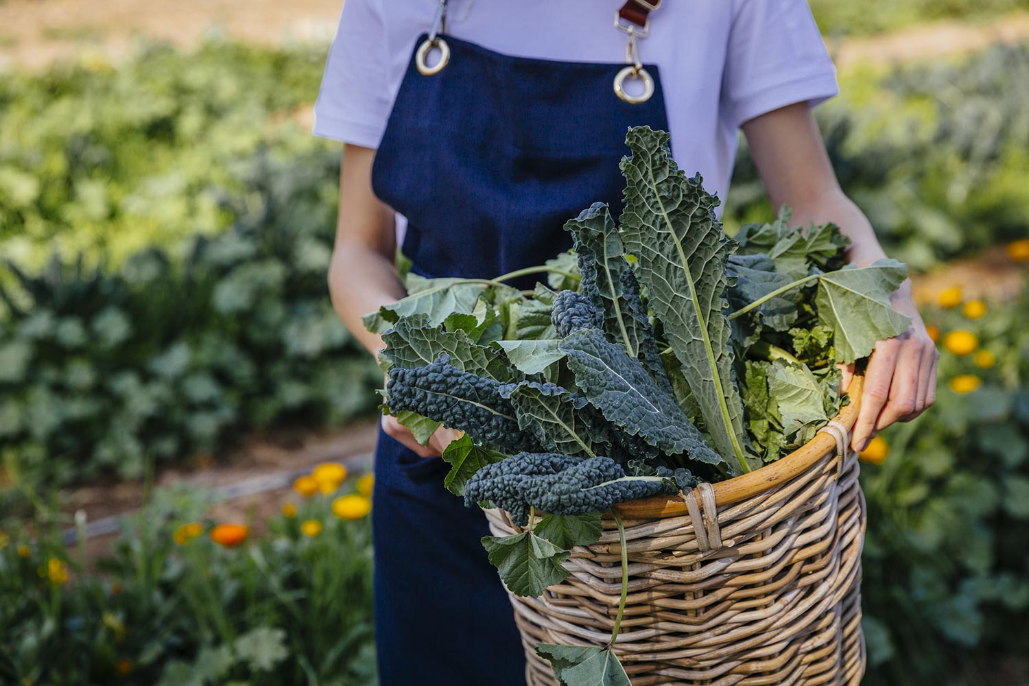 Bru & Bru agencia de viajes exclusivos - Six Senses Shaharut en Israel