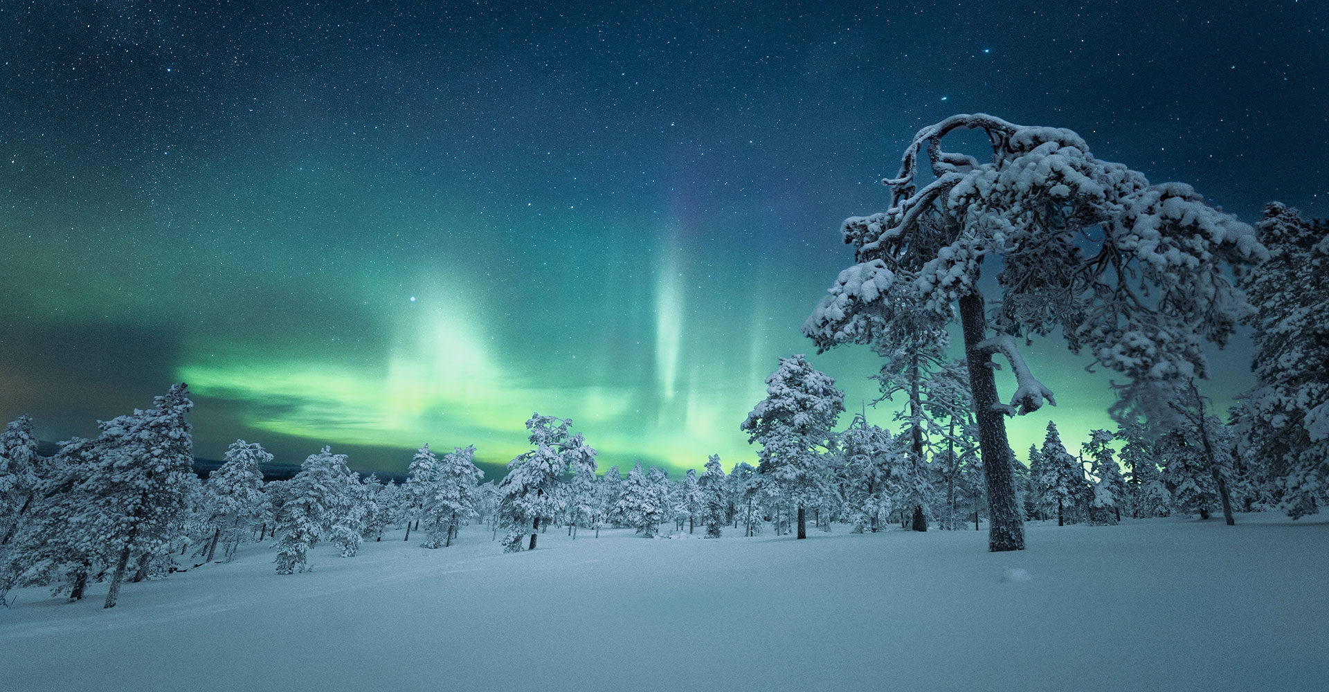 Bailando con las auroras en Jet Privado