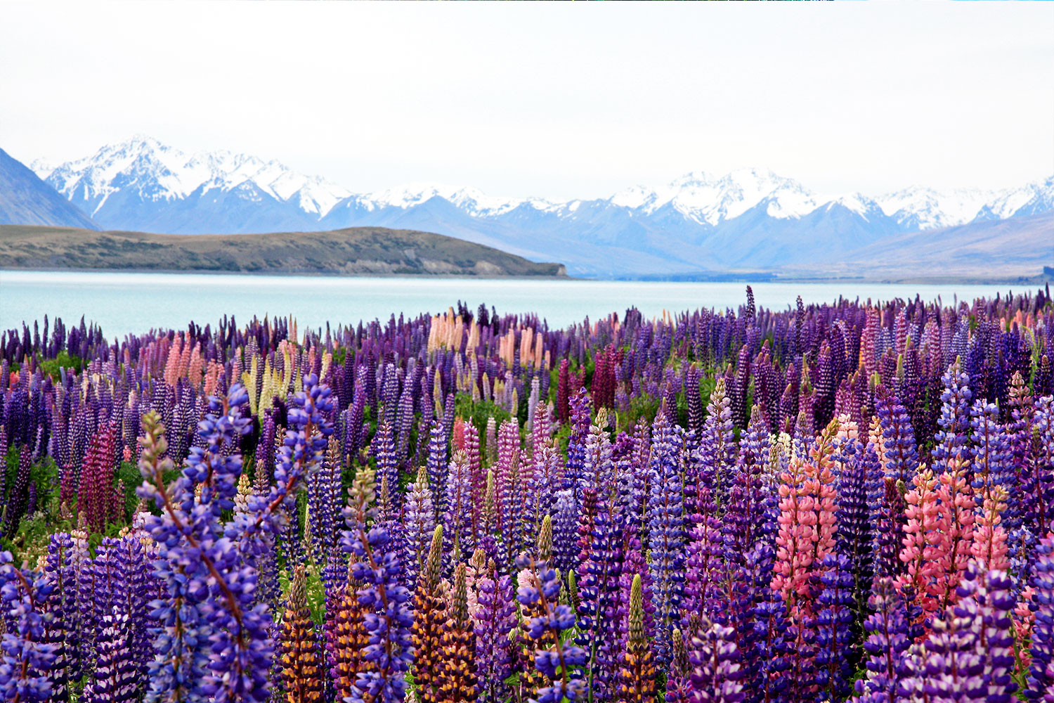 BRU&BRU-Viajes-Exclusivos-Nueva-Zelanada-cr11