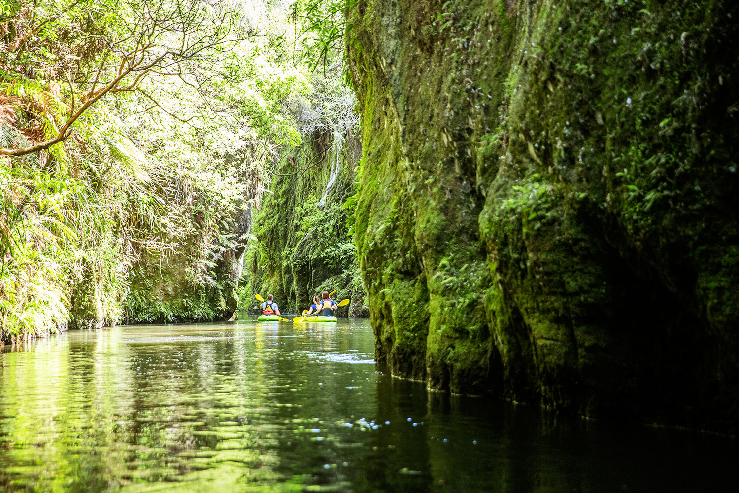 Aotearoa, the land of the great white cloud