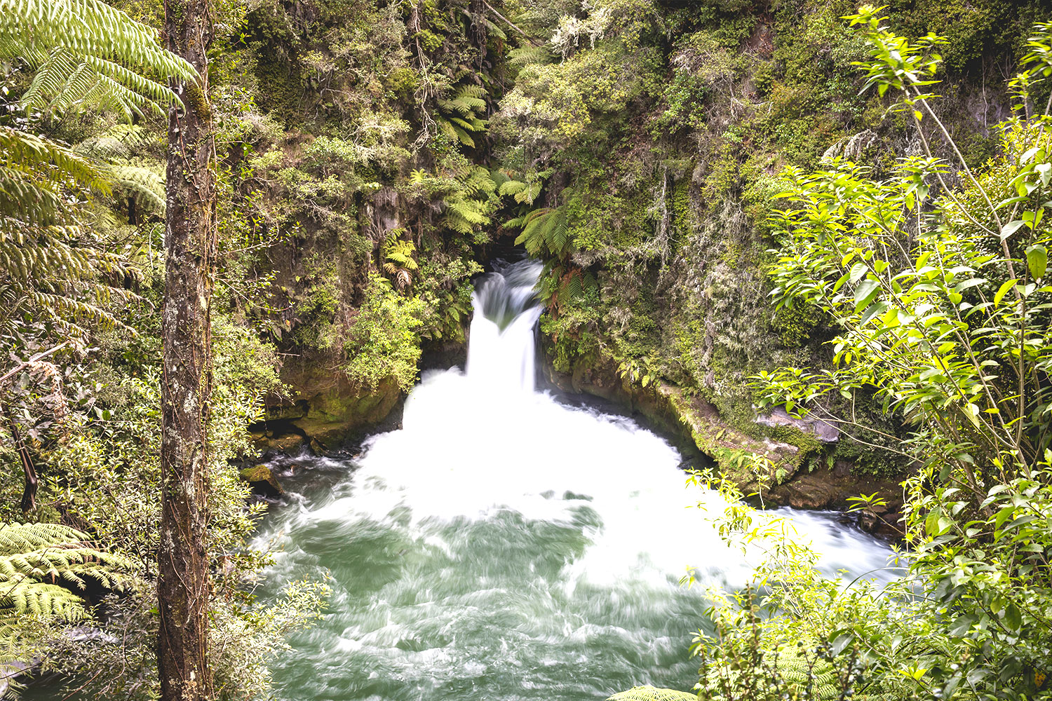 Aotearoa, the land of the great white cloud