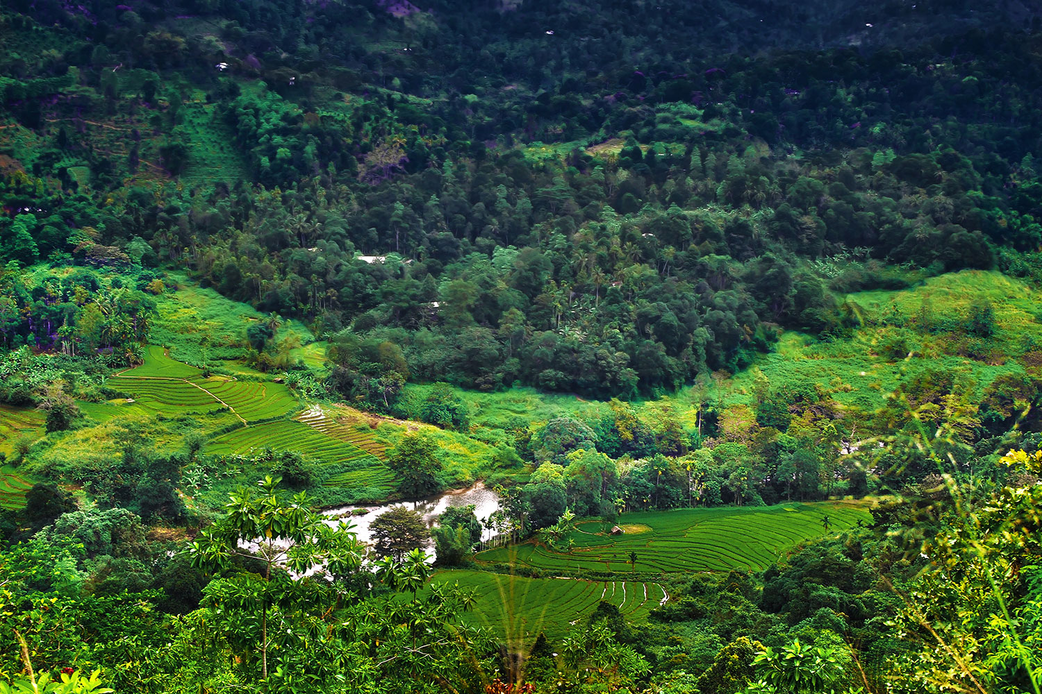 Santani Wellness Resort & Spa