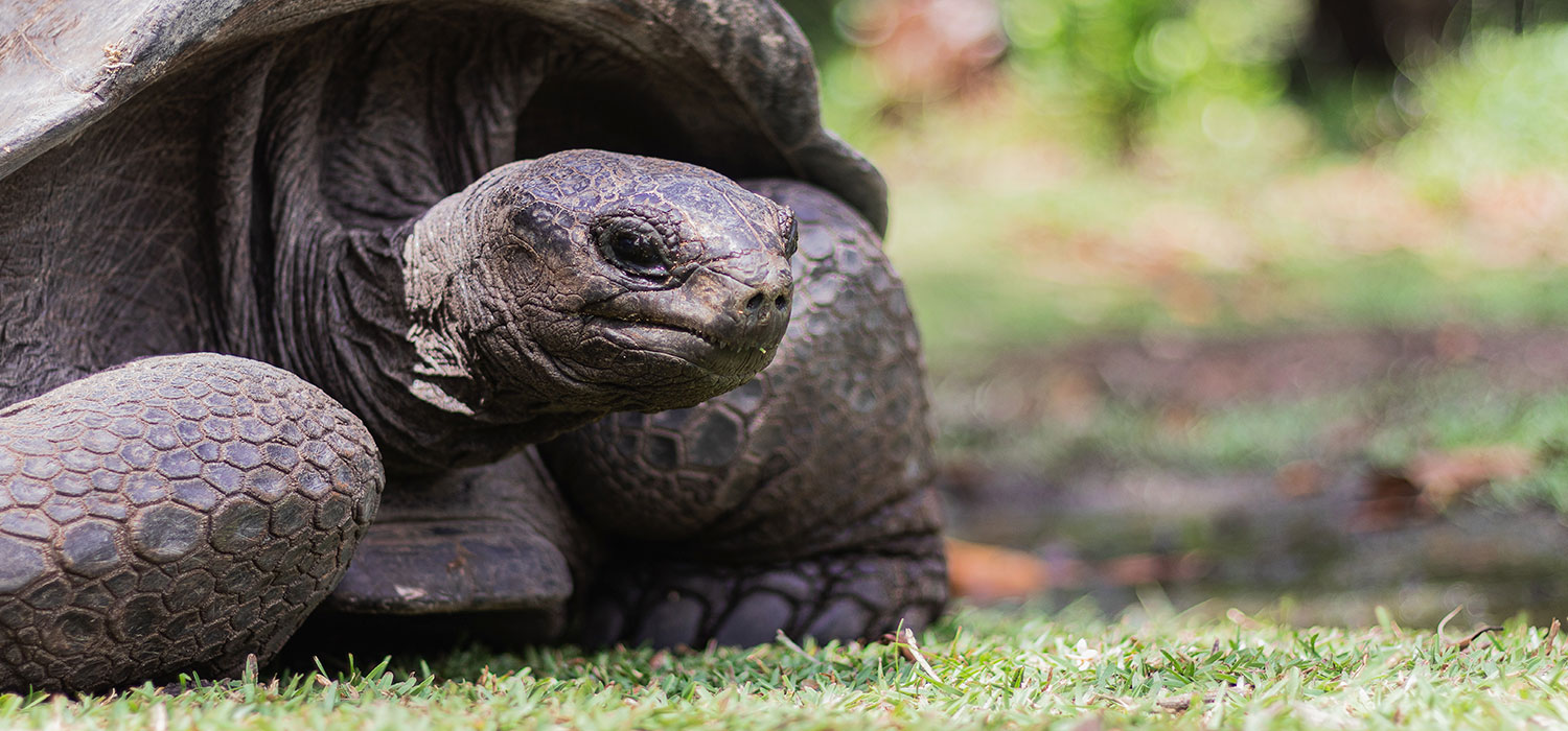 BRU&BRU Travel Story Seychelles Elena Gatius