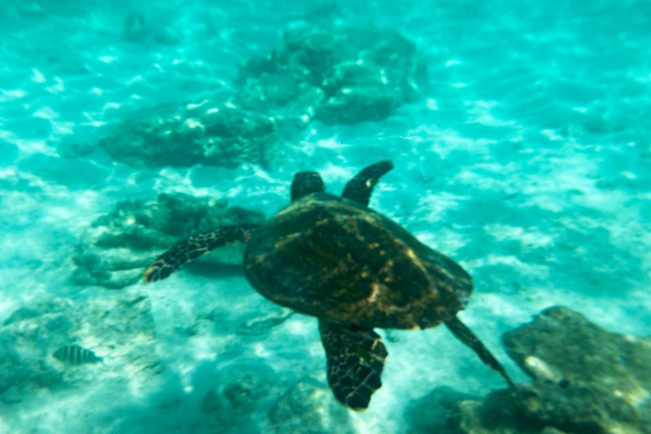 Bru&Bru Travel Story Seychelles Elena Gatius