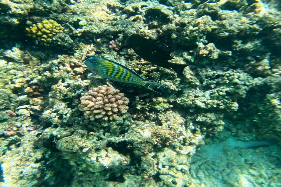 Bru&Bru Travel Story Seychelles Elena Gatius