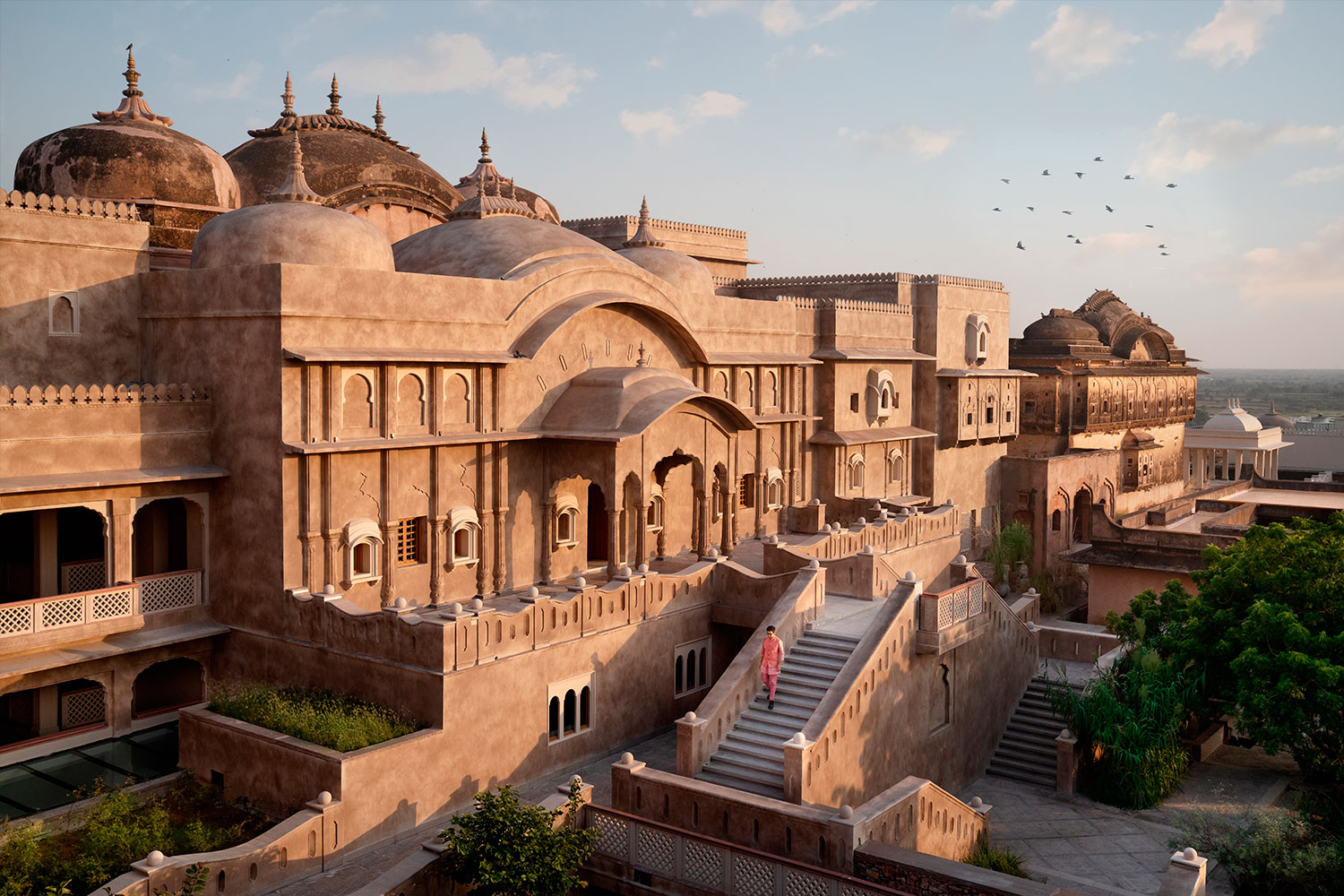 India, entre leopardos y tigres