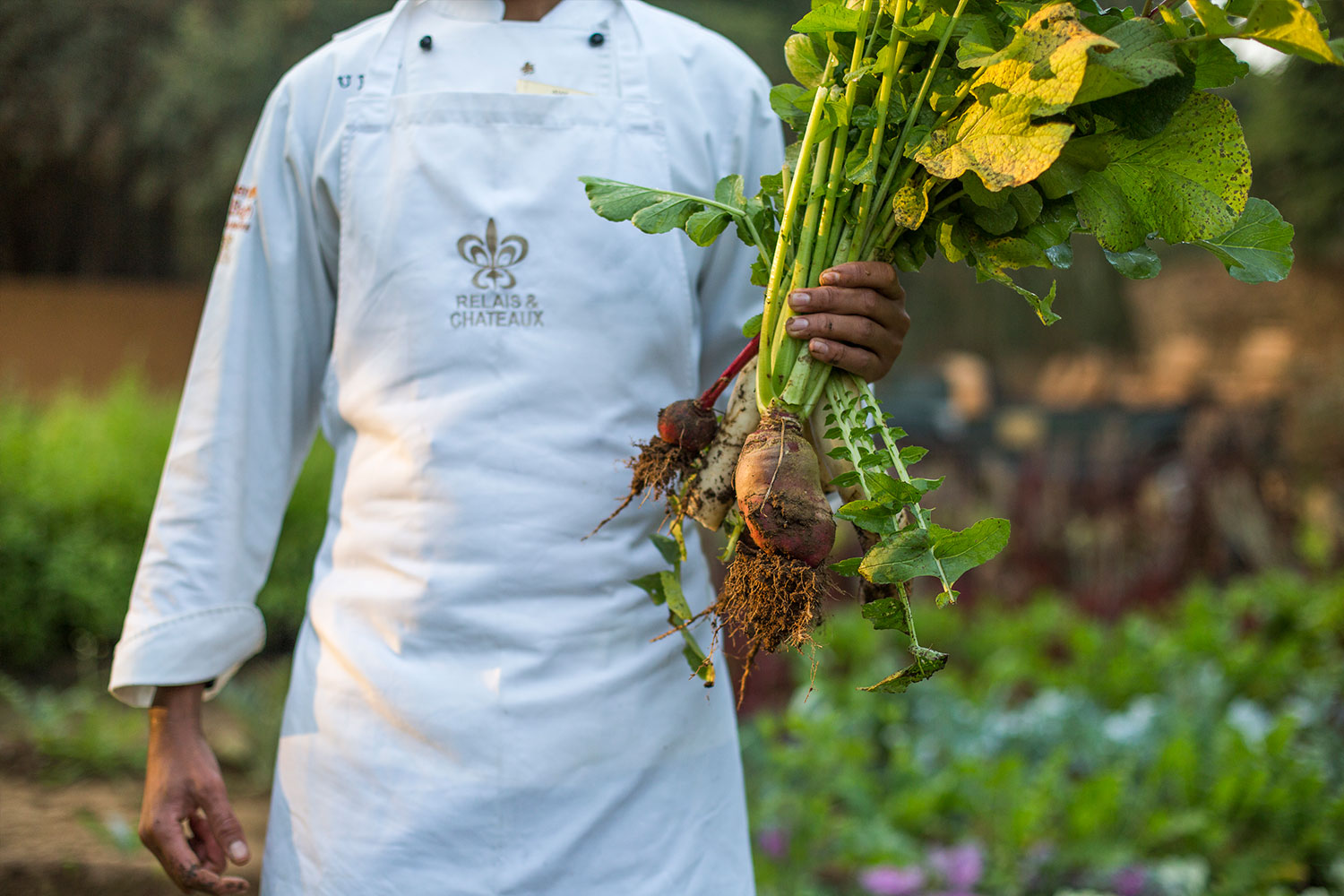 BRU&BRU INDIA SUJAN SER BAH