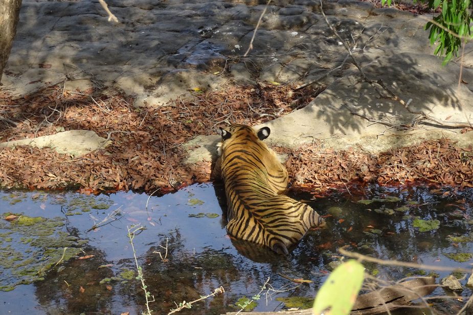 BRU&BRU Viajes exclusivos India Travel Story Esther Moreno