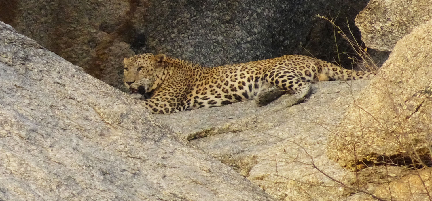 BRU&BRU Viajes exclusivos India Travel Story Esther Moreno