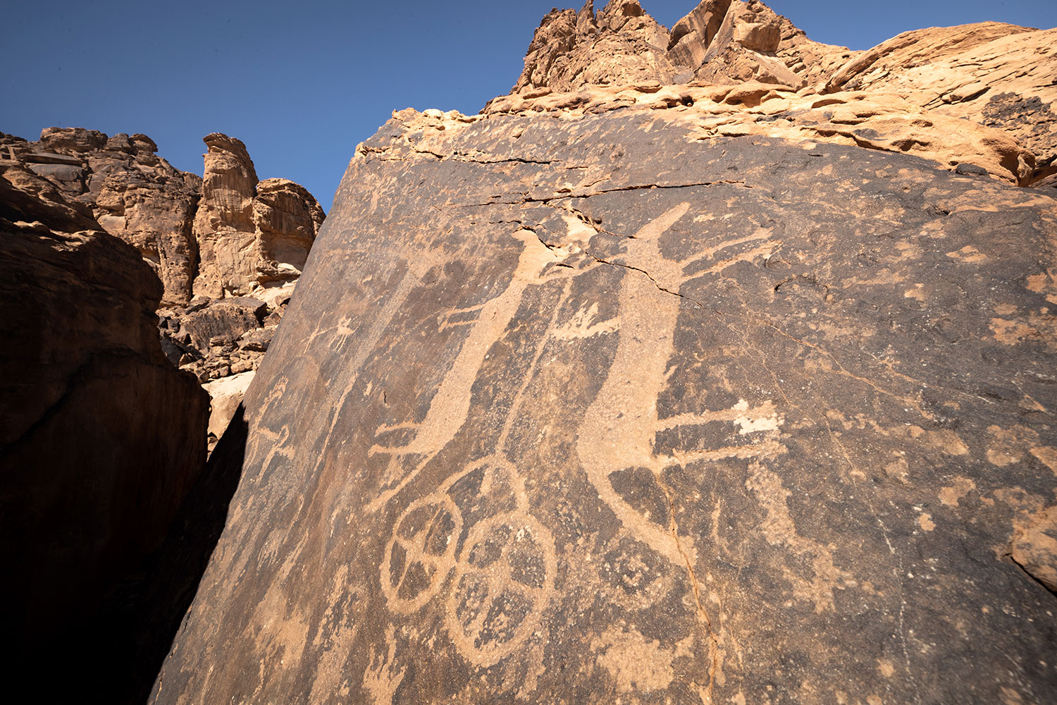 Bru Viaje exclusivo Arabia Saudi