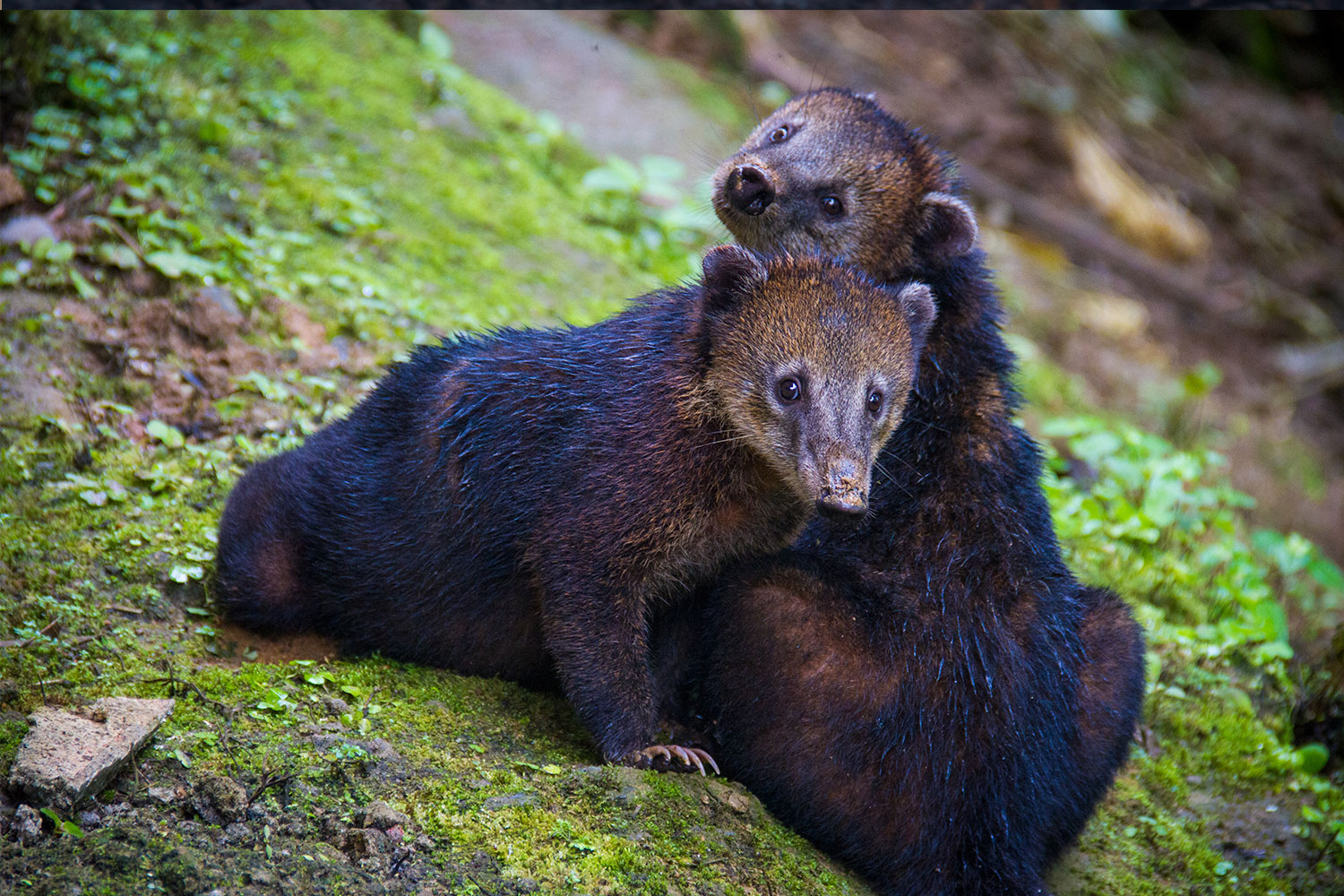 Bru-Bru-kontiki-expeditions-2