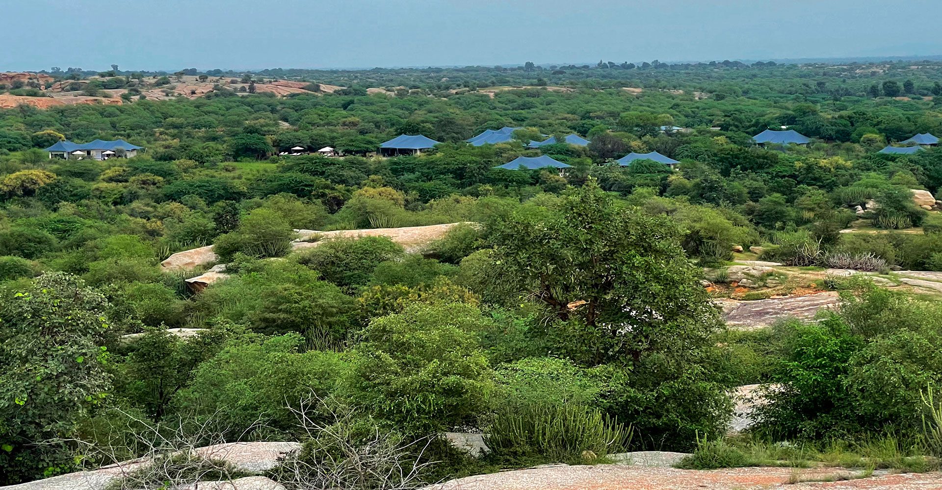 Sujan Jawai