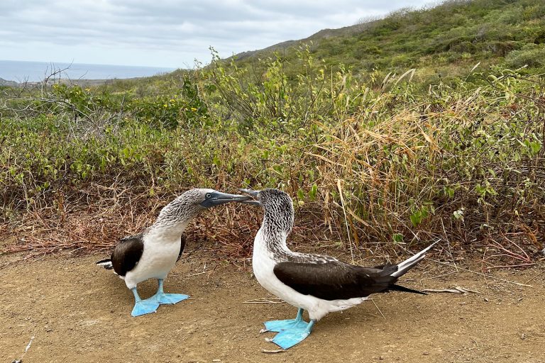 Rediscovering Ecuador