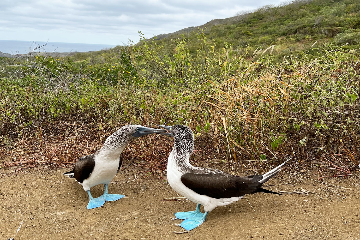 Bru-&-Bru-Travel-Story-Ecuador-9