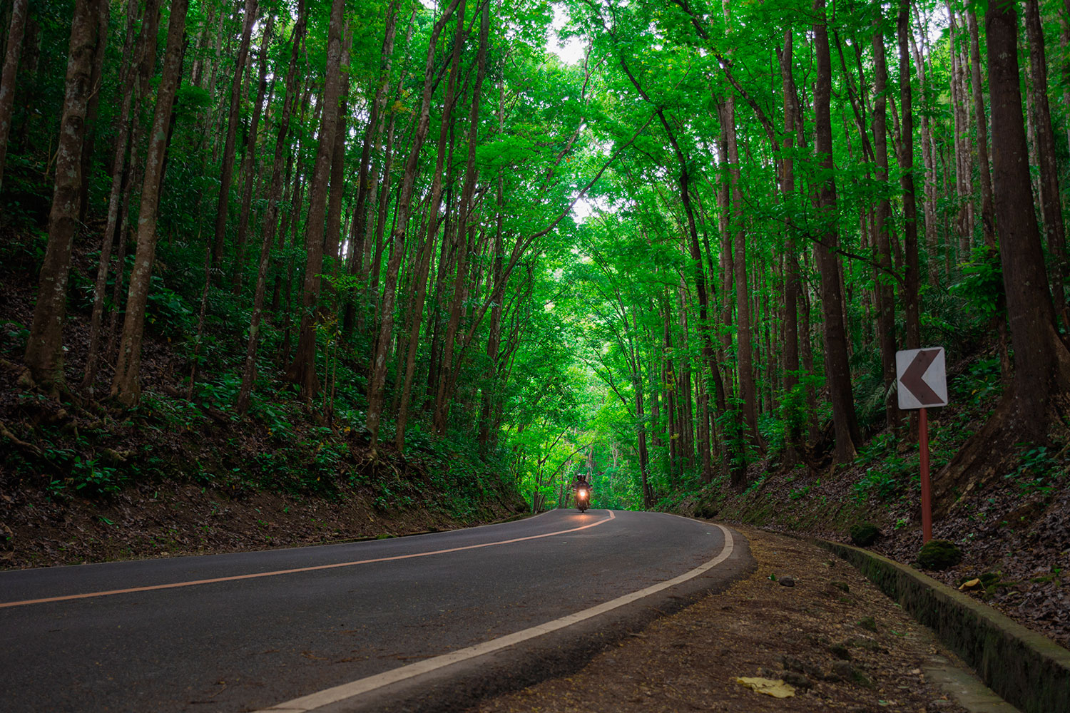 Bru & Bru Viajes exclusivos Filipinas