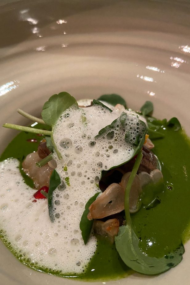 Travel-story-Vienna-Elena-Gatius