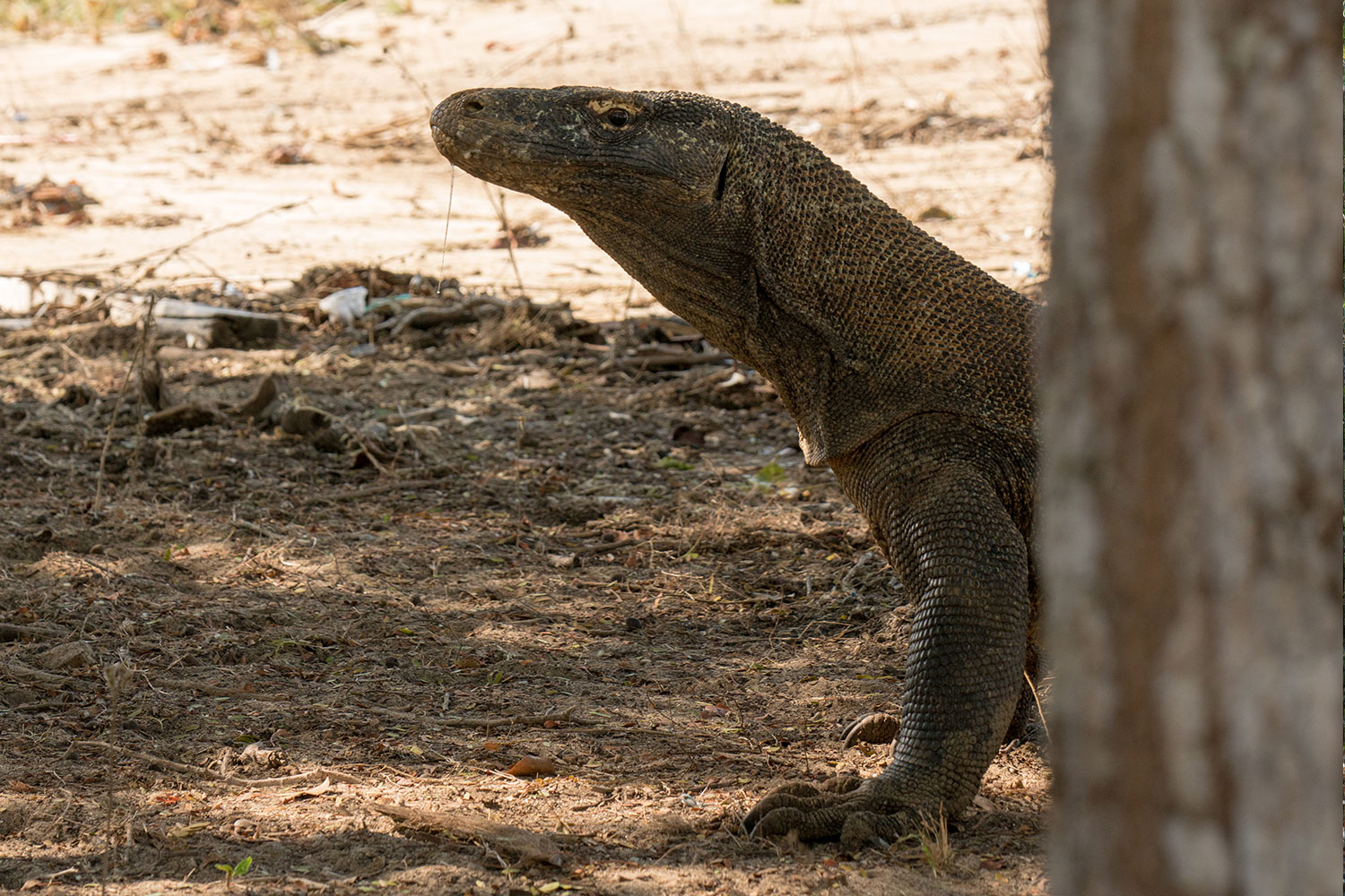 BRU&BRU Exclusive Travel Designer - Viajes exclusivos Indonesia -Vela Sailing yatch