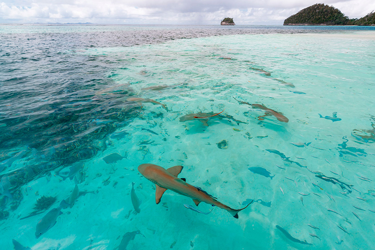 BRU&BRU-Viajes-Exclusivos-Indonesia-Aqua-Blue