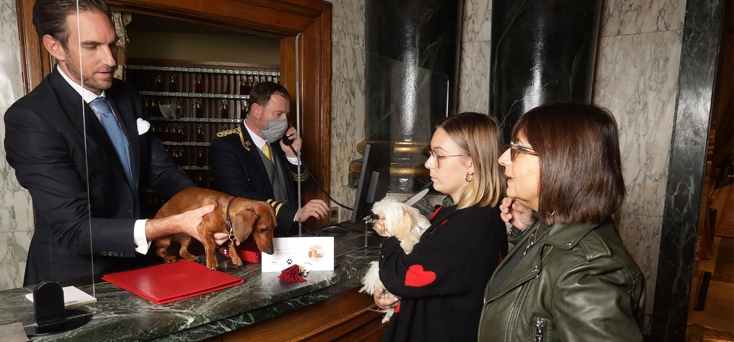 Travel Story El Palace Barcelona pet friendly